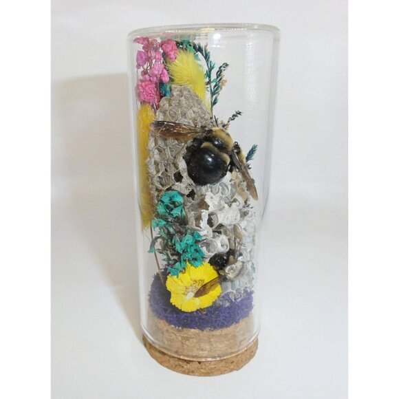 Wasp Nest & Carpenter Bee Oddity Jar curiosity dome hive insect taxidermy goth - Picture 8 of 16